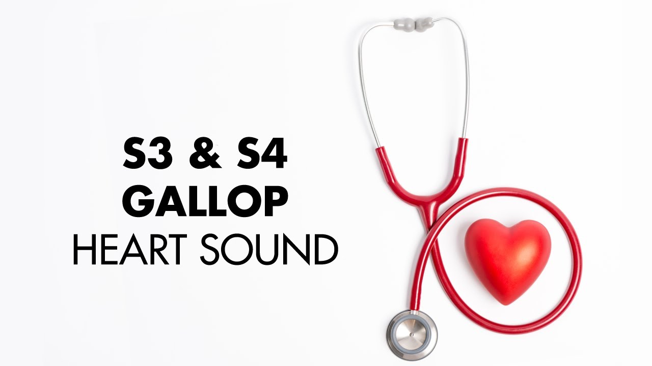S3 and S4 Gallop - Heart Sounds - MEDZCOOL